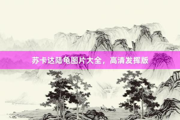 苏卡达陆龟图片大全，高清发挥版
